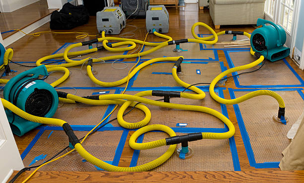 Professional Emergency Water Removal technician working in Arcadia, LA